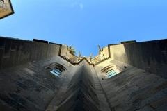 IMG_3134