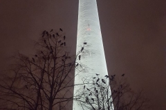 20181213_191303853578512