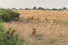 IMG_9572-1